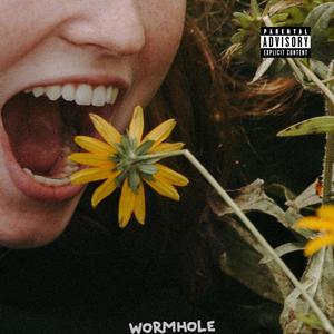 WORMHOLE (Explicit)