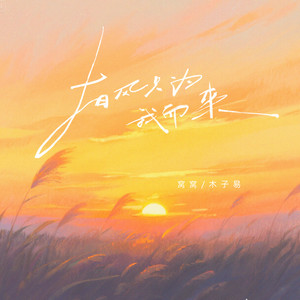 有风只为我而来