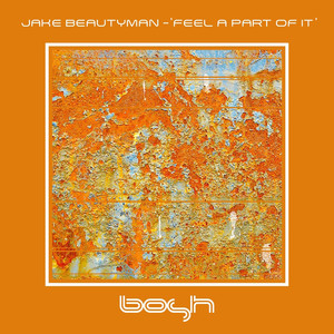 Feel a Part of It (Terry Francis Remix)