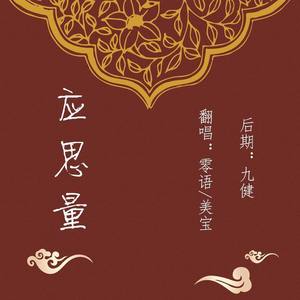 应思量 (COVER版)