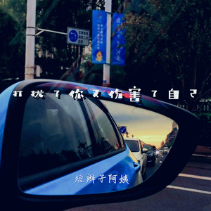 打扰了你又伤害了自己 (伴奏)