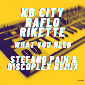 What you need (Stefano Pain, Discoplex Extended Remix)