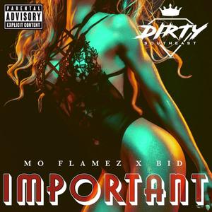 Important(feat. BID) (Explicit)