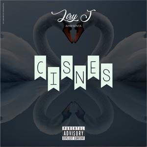 Becouse I Love You (feat. Cynthia Soares) (Explicit)