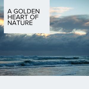 Musical Water Dripping