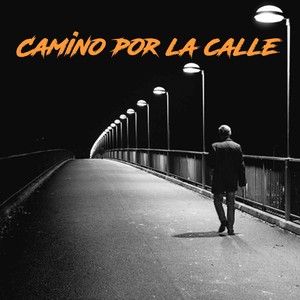 Camino por la calle