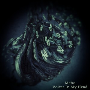 Voices In My Head