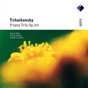 Tchaikovsky: Piano Trio in A Minor, Op. 50 - II. (b) Variazioni VIII - XI