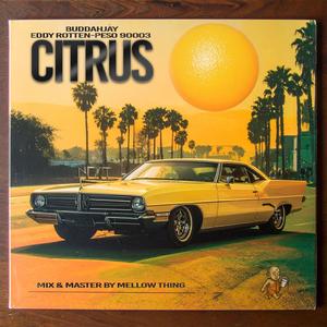 CITRUS (feat. Eddy Rotten & Peso 90003) (Explicit)