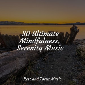 30 Ultimate Mindfulness, Serenity Music