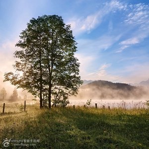 你在终点等我（cover 王菲）