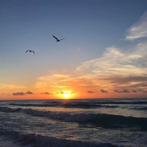 一个人的决定 (DJ版)