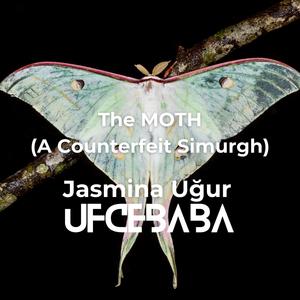 The Moth (A Counterfeit Simurgh)