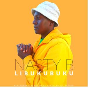 Libukubuku (feat. Usabusabani wena) (Explicit)