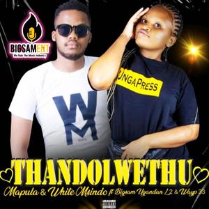 Thando Lwethu (feat. Mapula, White Msindoo, Bigsam Ugandan, WaYp33 & L2)