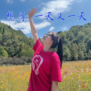 想哥一天又一天