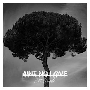 Aint No Love (Explicit)