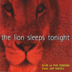 The Lion Sleep Tonight (Dance Remix)