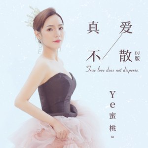 真爱不散 (DJ何鹏版)