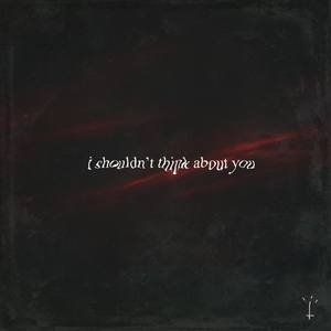 I Shouldn't Think About You (Explicit)