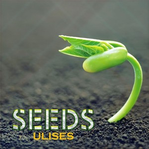 Seeds