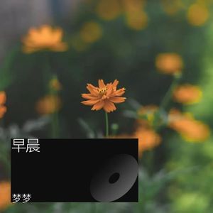 这不是爱情封面