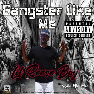 Gangter Like Me (feat. Lil Reese Boy, Phat Sack & Willie Moe Moe) (Explicit)