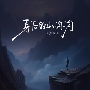 身后的山沟沟封面