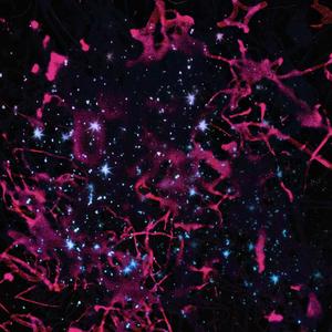 Crash Landing (feat. Booty Gum & Splashgvng) (Explicit)