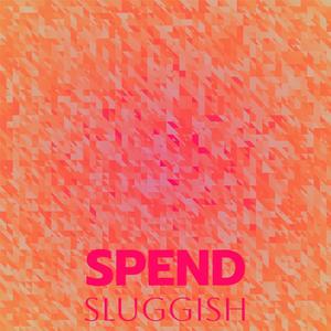 Spend Sluggish