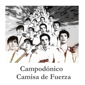 Camisa de Fuerza