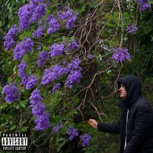 Forest (Explicit)