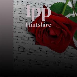 Ipp Flintshire