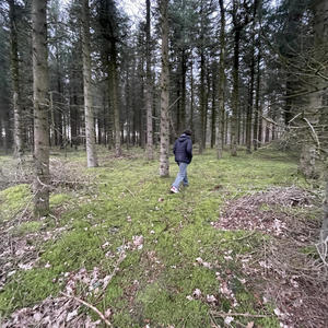 withdrawals (Explicit)