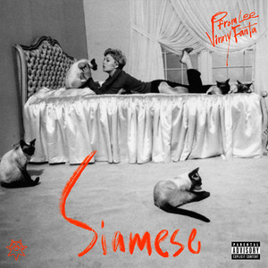 Siamese (Explicit)