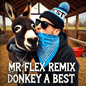 Mr Flex Remix (feat. Donkey a Best) [Explicit]