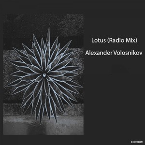 Lotus(Radio Mix)