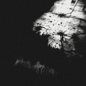 Leyon - All My Shadows Dance In The Dark