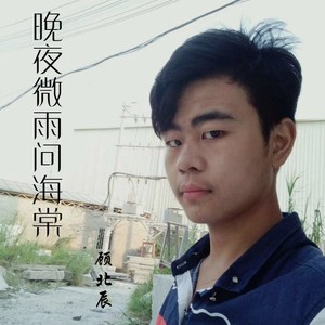 晚夜微雨问海棠