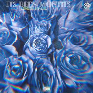 Its Been Months (feat. J.R.) (Explicit)