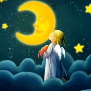 给夜晚写首诗