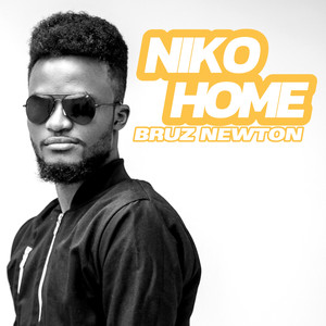 Niko Home