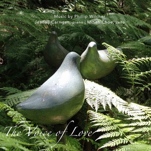 5 Nocturnes - 5 Nocturnes: I. Andante con affetto