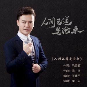 人间正道是沧桑 (新版)