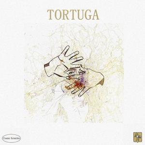 Tortuga (Explicit)