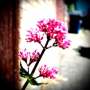 Professor Soul 'n' Funk Heads Into Town