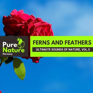 Ferns and Feathers - Ultimate Sounds of Nature, Vol.5