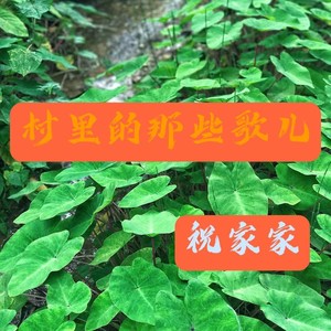 白沙湾