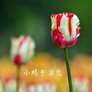 成都