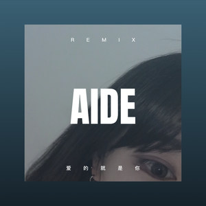 张家明和婉君 (Remix)封面